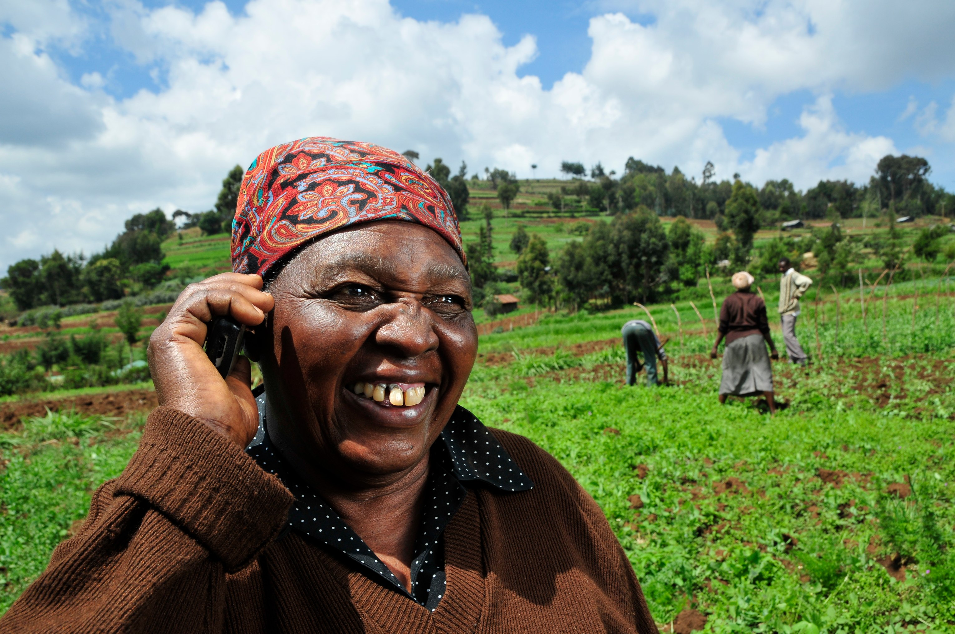 A Kenyan farmer using a mobile phone while working in a crop field